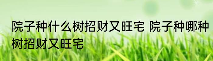 院子种什么树招财又旺宅 院子种哪种树招财又旺宅