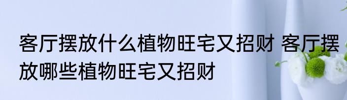 客厅摆放什么植物旺宅又招财 客厅摆放哪些植物旺宅又招财