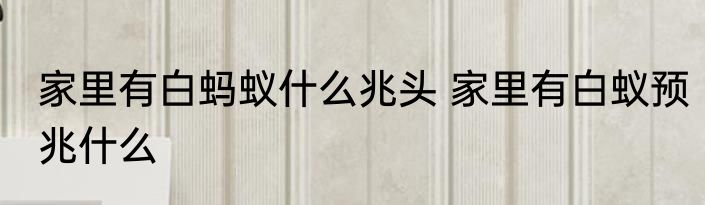 家里有白蚂蚁什么兆头 家里有白蚁预兆什么