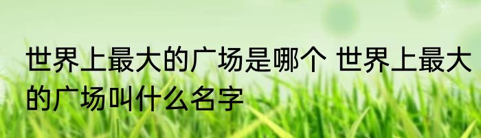 世界上最大的广场是哪个 世界上最大的广场叫什么名字
