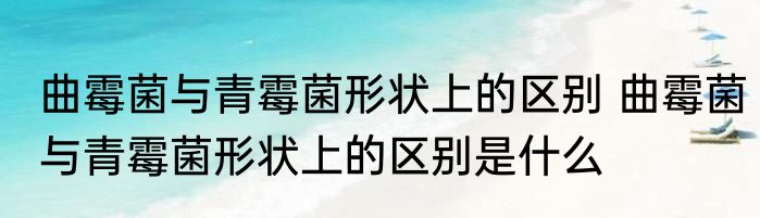 曲霉菌与青霉菌形状上的区别 曲霉菌与青霉菌形状上的区别是什么