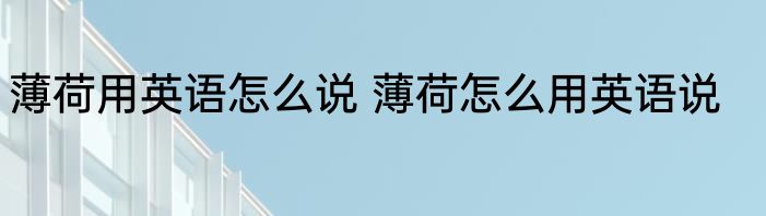 薄荷用英语怎么说 薄荷怎么用英语说