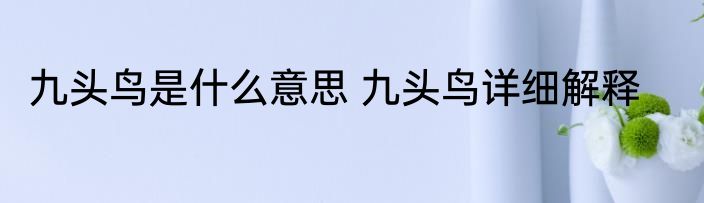 九头鸟是什么意思 九头鸟详细解释