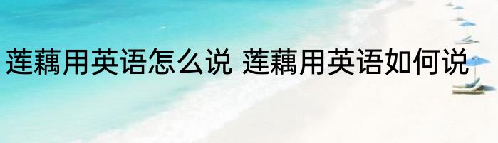 莲藕用英语怎么说 莲藕用英语如何说
