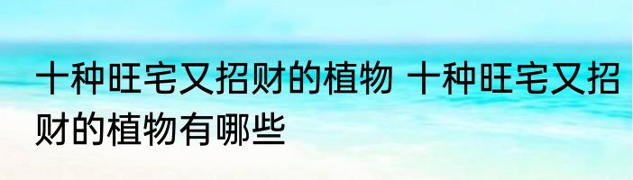 十种旺宅又招财的植物 十种旺宅又招财的植物有哪些