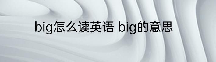big怎么读英语 big的意思