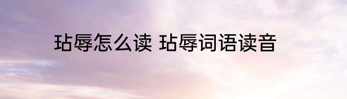 玷辱怎么读 玷辱词语读音