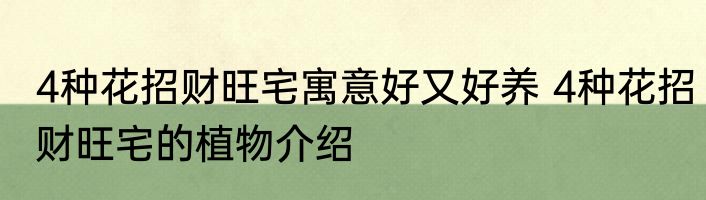 4种花招财旺宅寓意好又好养 4种花招财旺宅的植物介绍