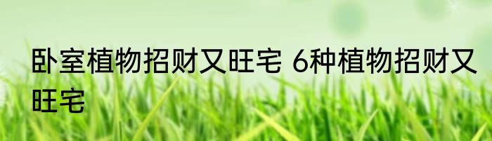 卧室植物招财又旺宅 6种植物招财又旺宅