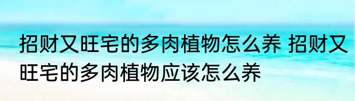 招财又旺宅的多肉植物怎么养 招财又旺宅的多肉植物应该怎么养
