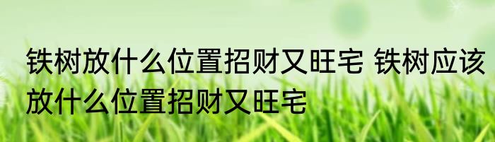 铁树放什么位置招财又旺宅 铁树应该放什么位置招财又旺宅