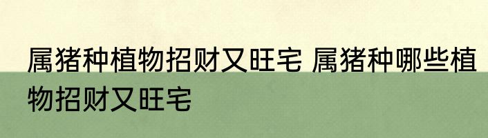 属猪种植物招财又旺宅 属猪种哪些植物招财又旺宅