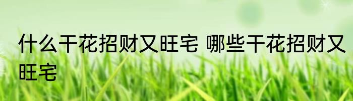 什么干花招财又旺宅 哪些干花招财又旺宅