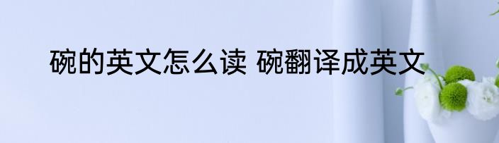 碗的英文怎么读 碗翻译成英文