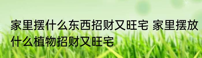家里摆什么东西招财又旺宅 家里摆放什么植物招财又旺宅