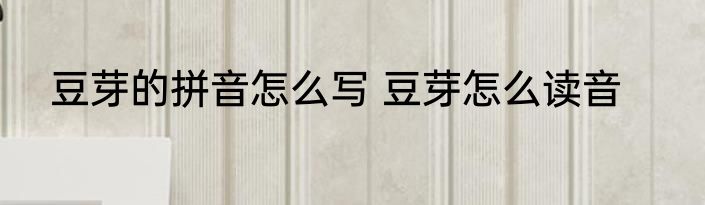 豆芽的拼音怎么写 豆芽怎么读音