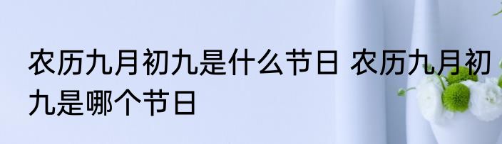 农历九月初九是什么节日 农历九月初九是哪个节日