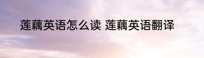 莲藕英语怎么读 莲藕英语翻译