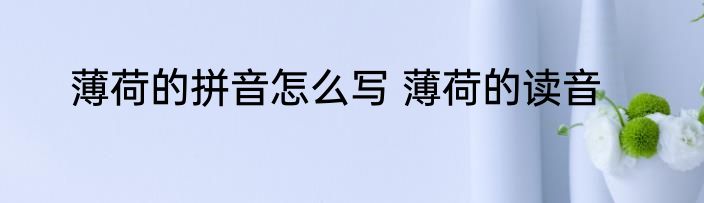 薄荷的拼音怎么写 薄荷的读音