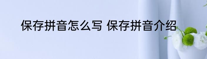 保存拼音怎么写 保存拼音介绍