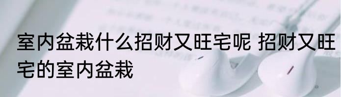 室内盆栽什么招财又旺宅呢 招财又旺宅的室内盆栽