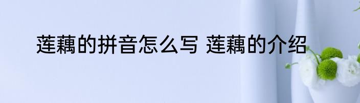 莲藕的拼音怎么写 莲藕的介绍