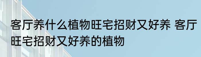 客厅养什么植物旺宅招财又好养 客厅旺宅招财又好养的植物