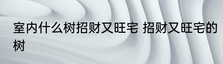 室内什么树招财又旺宅 招财又旺宅的树