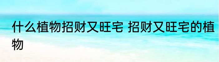 什么植物招财又旺宅 招财又旺宅的植物