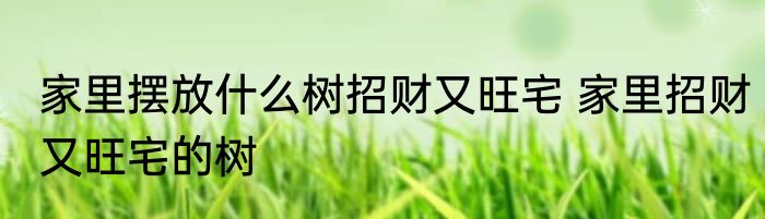 家里摆放什么树招财又旺宅 家里招财又旺宅的树