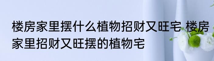 楼房家里摆什么植物招财又旺宅 楼房家里招财又旺摆的植物宅