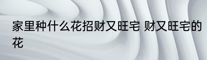 家里种什么花招财又旺宅 财又旺宅的花