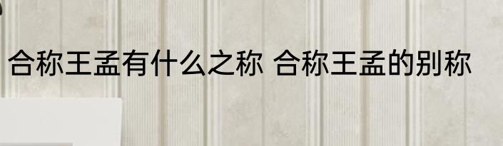 合称王孟有什么之称 合称王孟的别称
