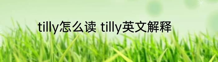 tilly怎么读 tilly英文解释