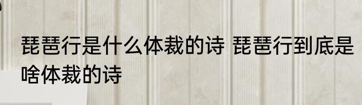 琵琶行是什么体裁的诗 琵琶行到底是啥体裁的诗