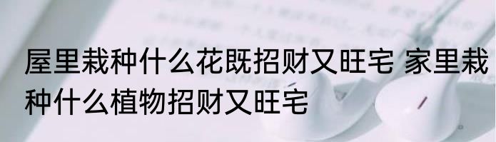 屋里栽种什么花既招财又旺宅 家里栽种什么植物招财又旺宅