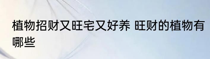 植物招财又旺宅又好养 旺财的植物有哪些