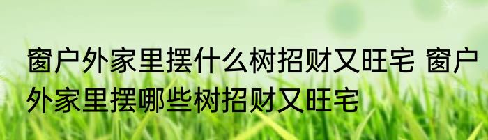 窗户外家里摆什么树招财又旺宅 窗户外家里摆哪些树招财又旺宅