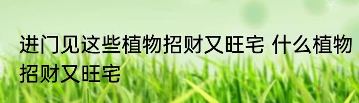 进门见这些植物招财又旺宅 什么植物招财又旺宅
