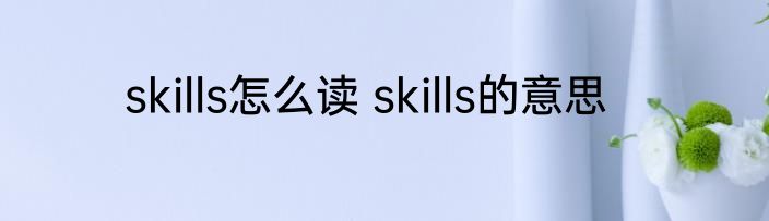 skills怎么读 skills的意思