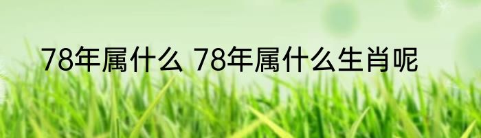 78年属什么 78年属什么生肖呢