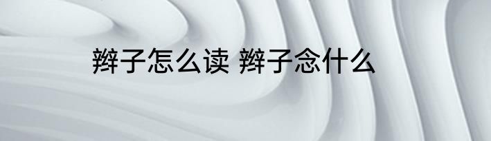 辫子怎么读 辫子念什么