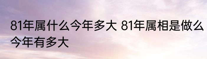 81年属什么今年多大 81年属相是做么今年有多大