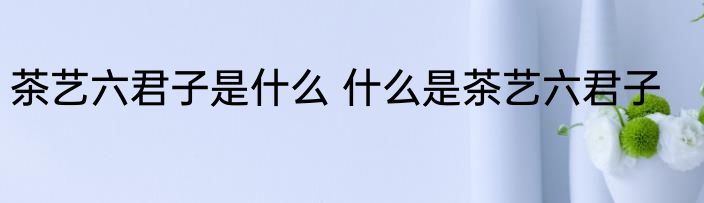 茶艺六君子是什么 什么是茶艺六君子