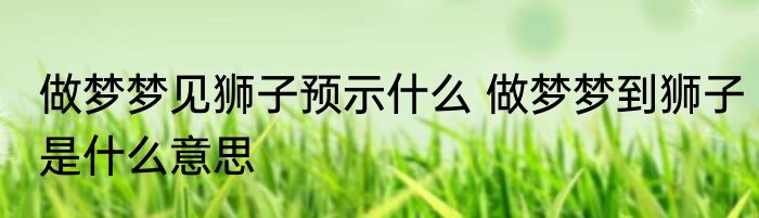 做梦梦见狮子预示什么 做梦梦到狮子是什么意思