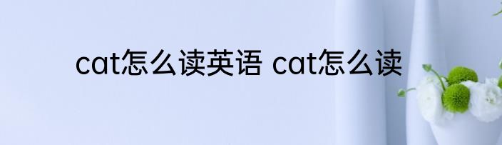 cat怎么读英语 cat怎么读