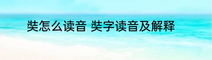 奘怎么读音 奘字读音及解释