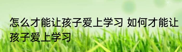 怎么才能让孩子爱上学习 如何才能让孩子爱上学习
