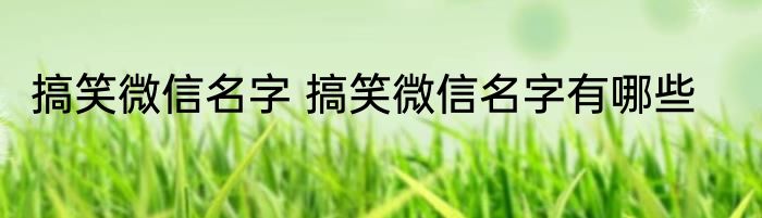 搞笑微信名字 搞笑微信名字有哪些