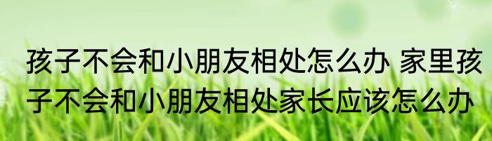 孩子不会和小朋友相处怎么办 家里孩子不会和小朋友相处家长应该怎么办